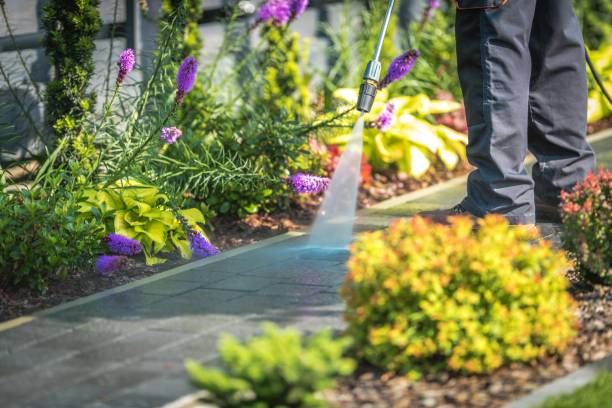Best Building Exterior Pressure Washing in Georgetown, KY
